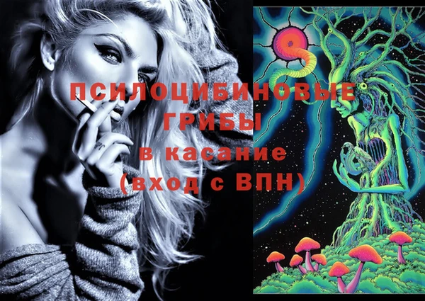 амф Богородицк