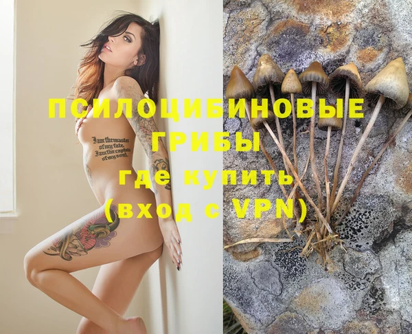 СК Белокуриха